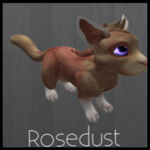 Rosedust F Shy #7660970
