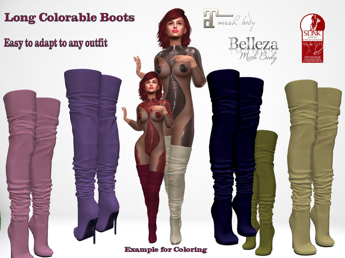 Long Colorable Boots