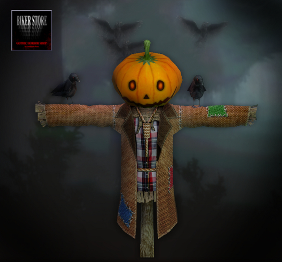 #The ScareCROW Sound Maker