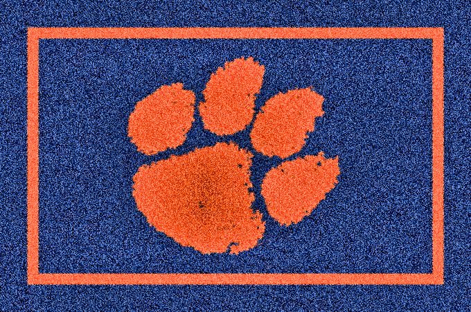 Pet rug 1