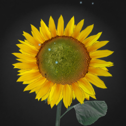 {Papillon} Cr/Tin/Pal/Sun/+/Alabaster Plant
