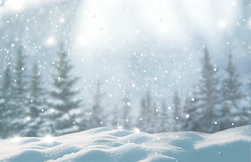 Winter Landscape Texture