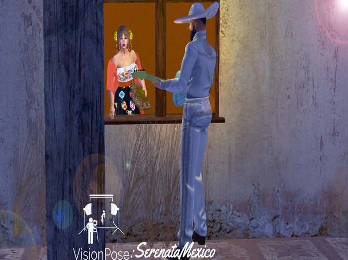 VisionPose:SerenataMexico