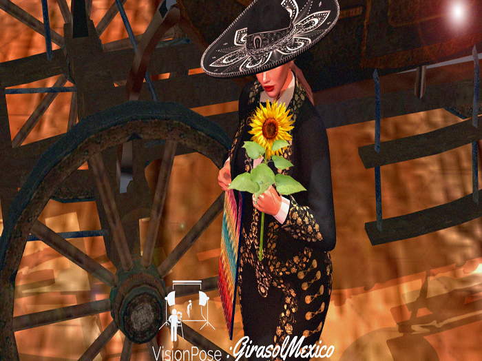 VisionPose:GirasolMexico