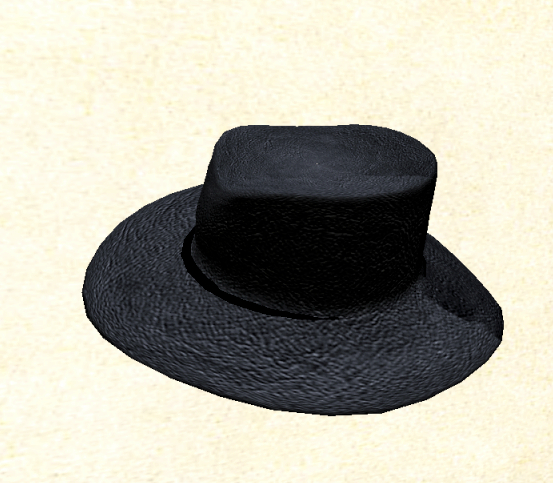 Hat black 