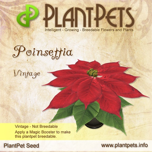 PlantPet Seed [Poinsettia *Vintage*] limited vintage