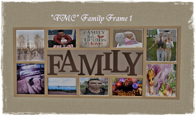 ~TMC~ Familiy Frame 1