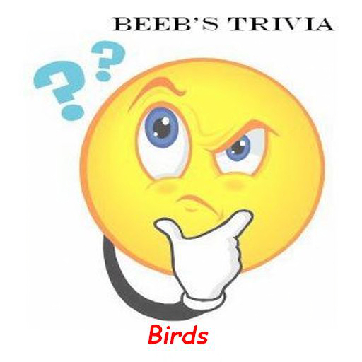 Beeb's Trivia - Birds