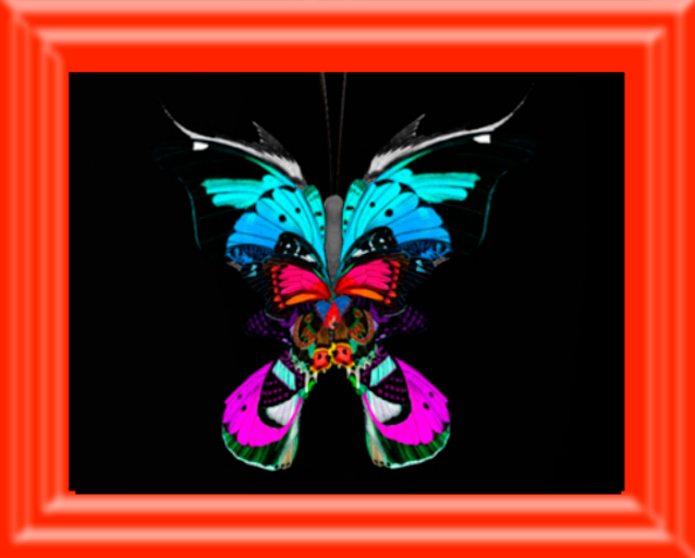 {Papillon} CostumeB Butterfly Starter