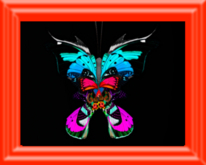 {Papillon} CostumeB Butterfly Starter