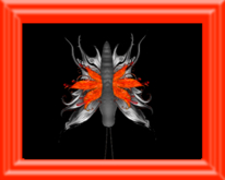 {Papillon} Harrowing Butterfly Starter