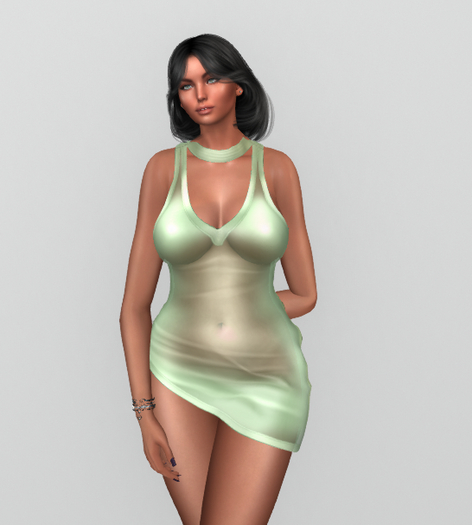 LC Chantelle Sheer Dress GREEN unpacker (add me)
