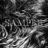 Zoy Texture [ Designers Fur 02 ] Dark Gray