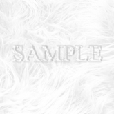 Zoy Texture [ Designers Fur 02 ] Clear White