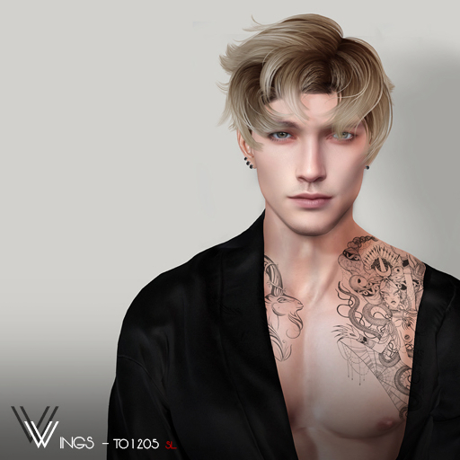 Second Life Marketplace WINGSHAIRTO1205 Gray (Pack)