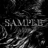 Zoy Texture [ Designers Fur 03 ] Black