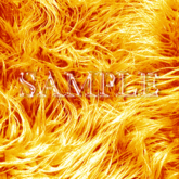 Zoy Texture [ Designers Fur 03 ] Orange
