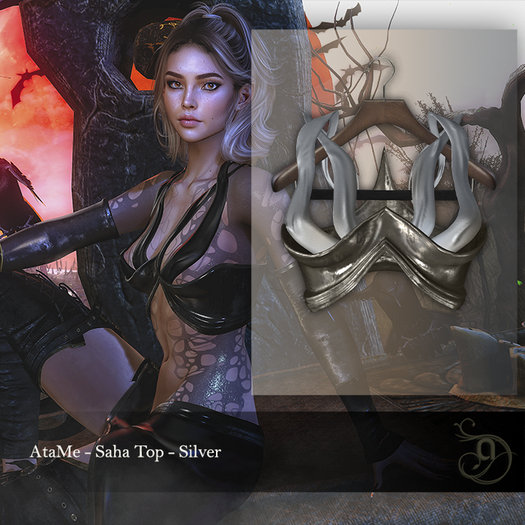 AtaMe - Saha Top Silver 