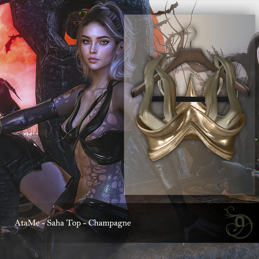 AtaMe - Saha Top Champagne