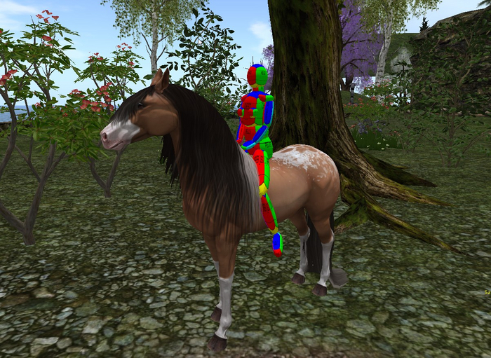 Simple Animesh Horse Rider