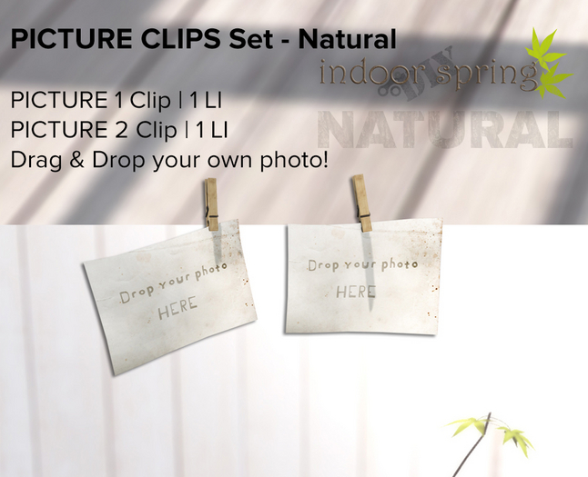 8f8 - Indoor DIY Spring PICTURE CLIPS Set - NATURAL