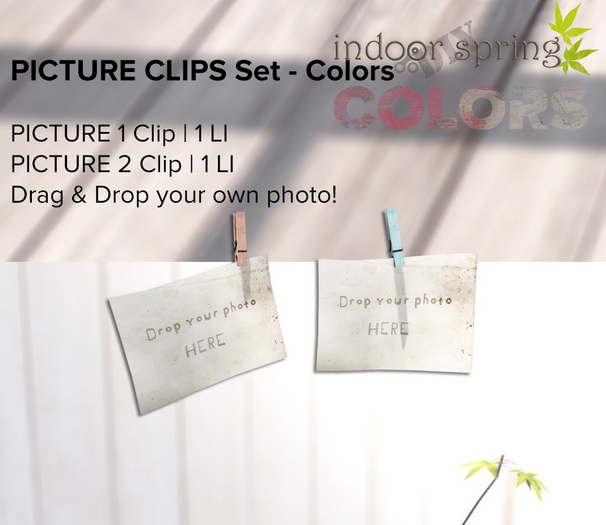 8f8 - Indoor DIY Spring PICTURE CLIPS Set - COLORS