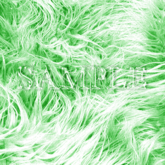 Zoy Texture [ Designers Fur 04 ] Mint