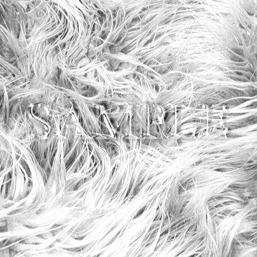 Zoy Texture [ Designers Fur 04 ] Light Gray