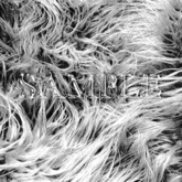 Zoy Texture [ Designers Fur 04 ] Gray