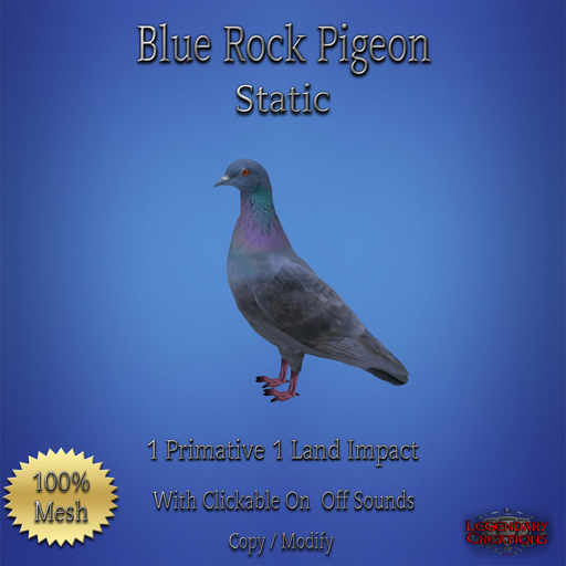 Blue Rock Pigeon Static w/Sound Boxed