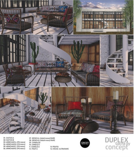 14. Concept} Duplex set. House RARE