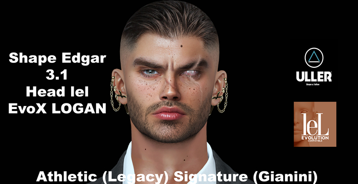 Shape Edgar lel EvoX LOGAN 3.1