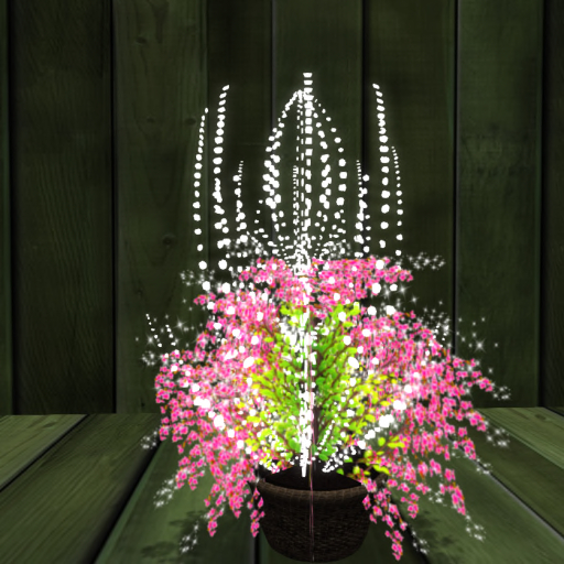 Mini Sekura in Planter with Lights