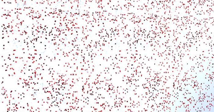 Marid Gras Carnival Confetti - Red