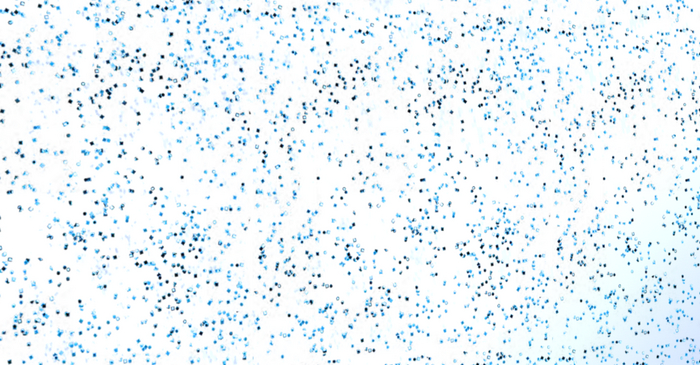 Marid Gras Carnival Confetti - Blue