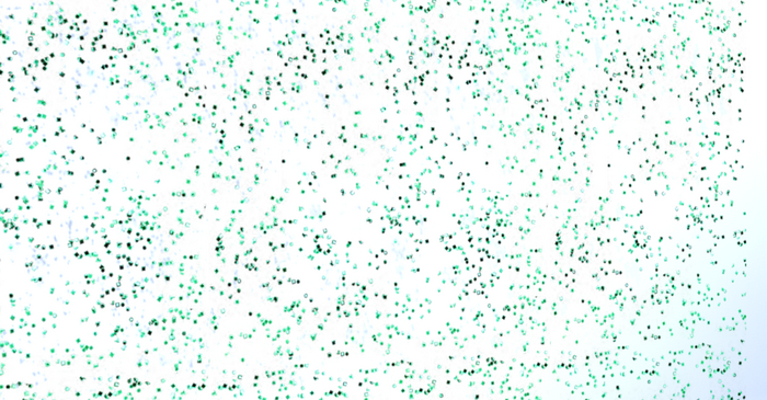 Marid Gras Carnival Confetti - Green