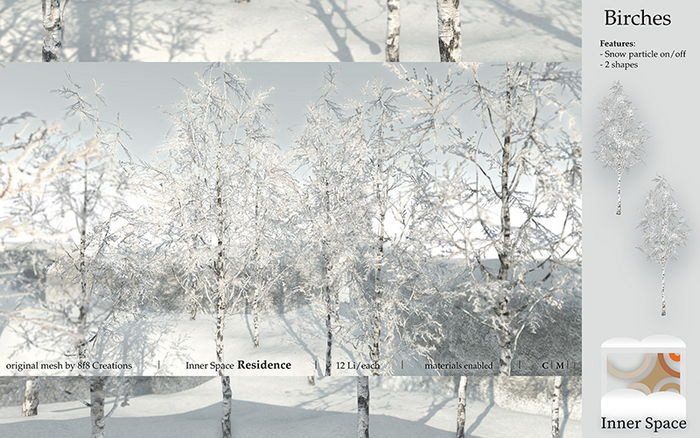 8f8 - Inner Space - Birches 