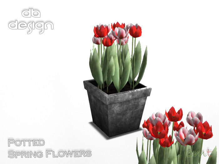 ::db:: White and Red Tulips in Decorative Plant Pot