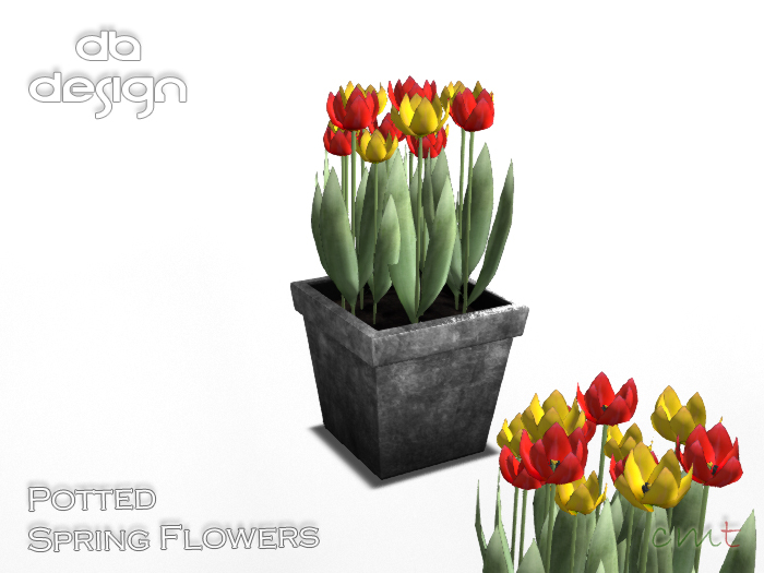 ::db:: Red and Yellow Tulips in Decorative Plant Pot