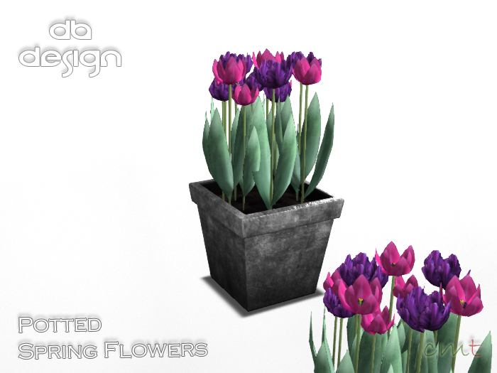 ::db:: Pink and Purple Tulips in Decorative Plant Pot