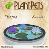 PlantPet Seed [Lotus *Samadhi*] rare Release Day 26.06.2021