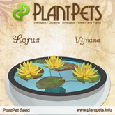 PlantPet Seed [Lotus *Vijnana*] common Release Day 26.06.2021