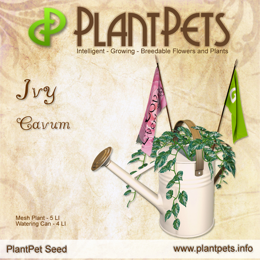 PlantPet Seed [Ivy *Cavum*] common Release Day 14.08.2021