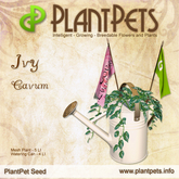 PlantPet Seed [Ivy *Cavum*] common Release Day 14.08.2021
