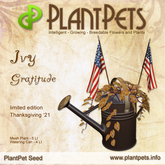 PlantPet Seed [Ivy *Gratitude*] limited Release Day 19.11.2021