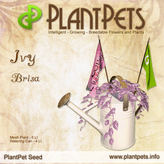 PlantPet Seed [Ivy *Brisa*] common Release Day 14.08.2021