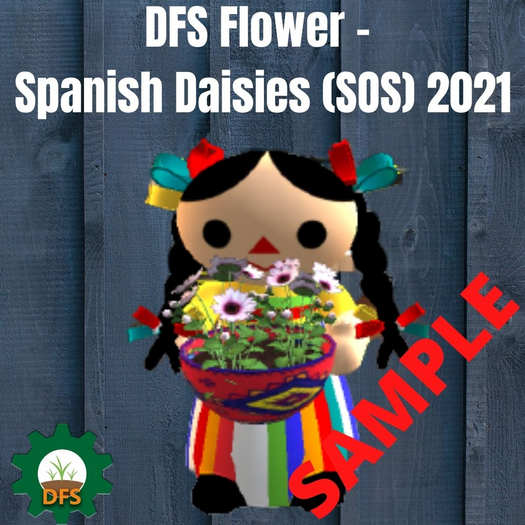 DFS Flower - Spanish Daisies (SOS) 2021 TEXTURE