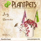 PlantPet Seed [Ivy *Derecho*] common Release Day 14.08.2021