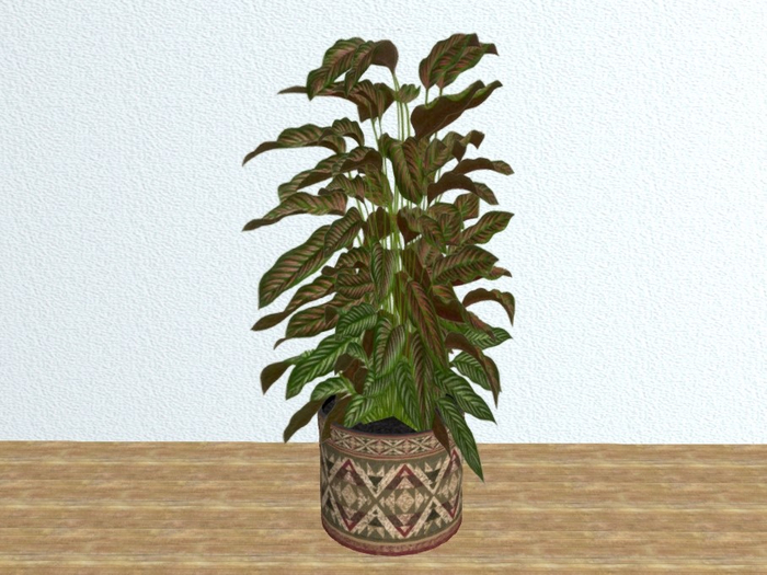 Plant in Ceramic Pot (1) 2022
