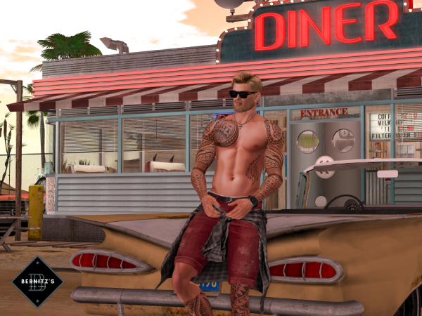 [Bernitz's Poses]  - Car
